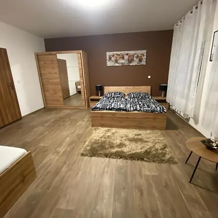 Cerny Tulipan - 3 Plzen