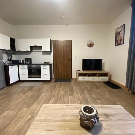 černý Tulipán - 3 * Plzeň