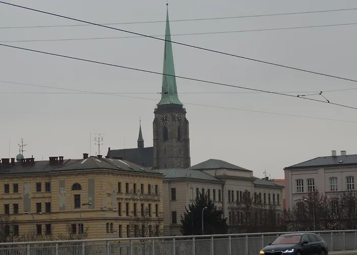 Apartamento černý Tulipán - 3 *