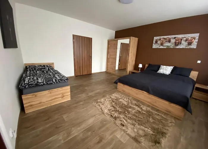 černý Tulipán - 3 * Plzeň