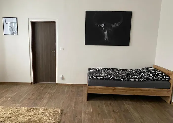 Apartamento černý Tulipán - 3 Plzeň