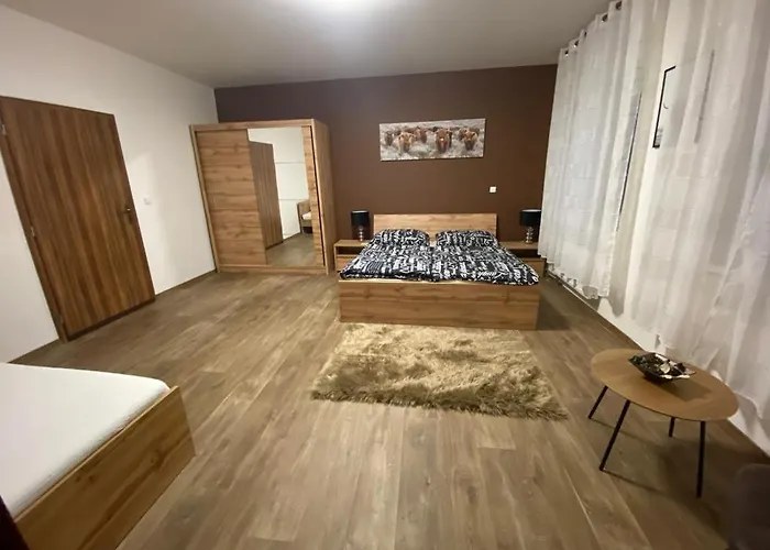 Cerny Tulipan - 3 Plzen