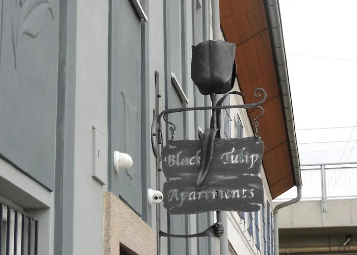 Apartamento černý Tulipán - 3