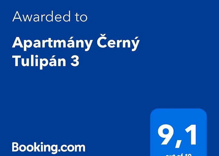 Apartamento černý Tulipán - 3