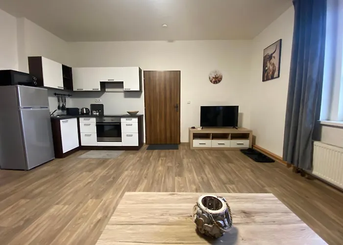 Cerny Tulipan - 3 * Plzen