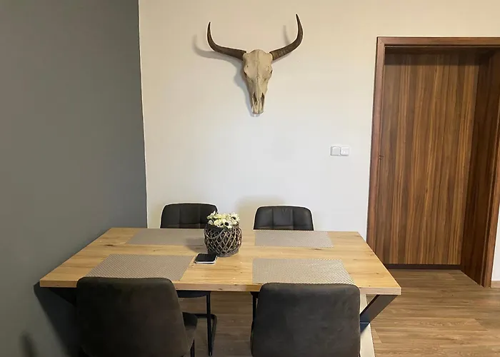 černý Tulipán - 3 Plzeň