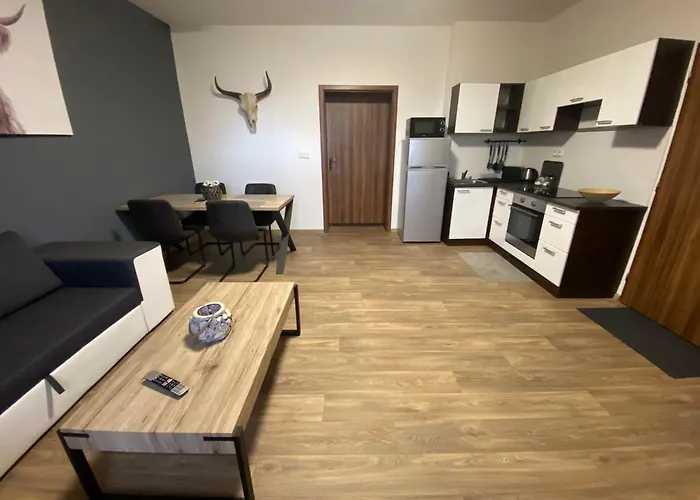 Cerny Tulipan - 3 Apartment Plzen