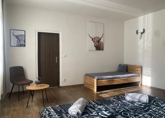 Apartamento černý Tulipán - 3 *