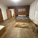 Cerny Tulipan - 3 Plzeň