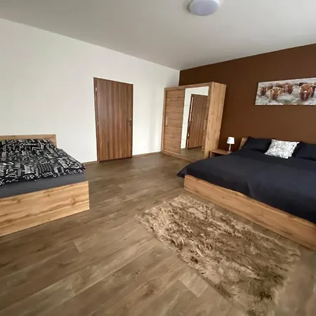 Cerny Tulipan - 3 * Pilzno