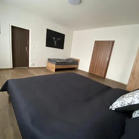 Cerny Tulipan - 3 *