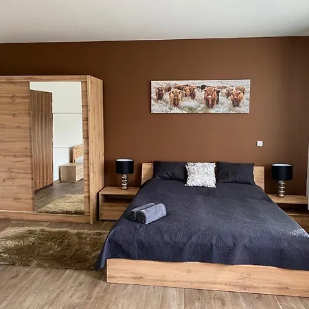Cerny Tulipan - 3 Apartament Pilzno