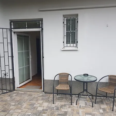 Cerny Tulipan - 3 * Pilzno