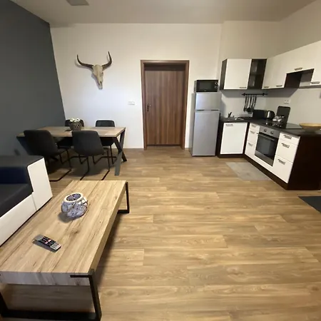 Cerny Tulipan - 3 Apartament Pilzno