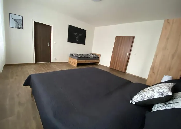 Cerny Tulipan - 3 *